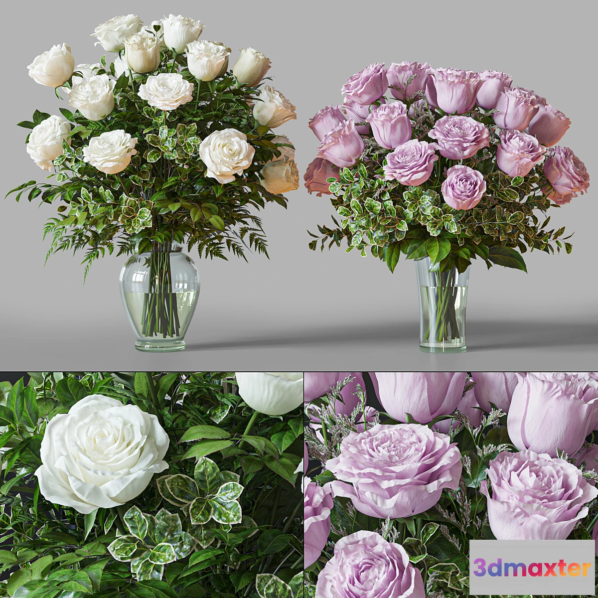 748417 - Flower Set 029 White and pink Rose - No.2