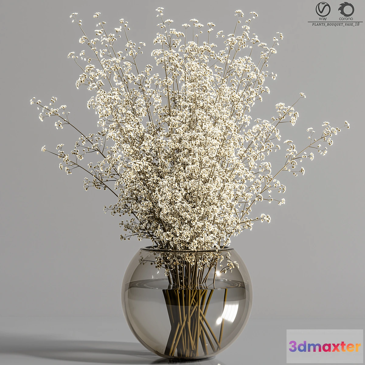 748419 - plants_bouquet_vase_18