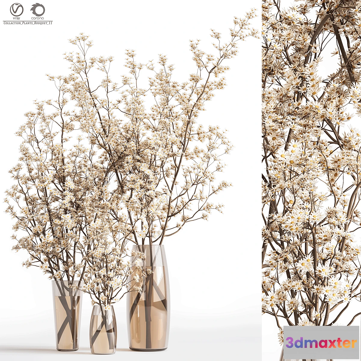 748427 - Collaction_Plants_Bouquet_11 - No.2