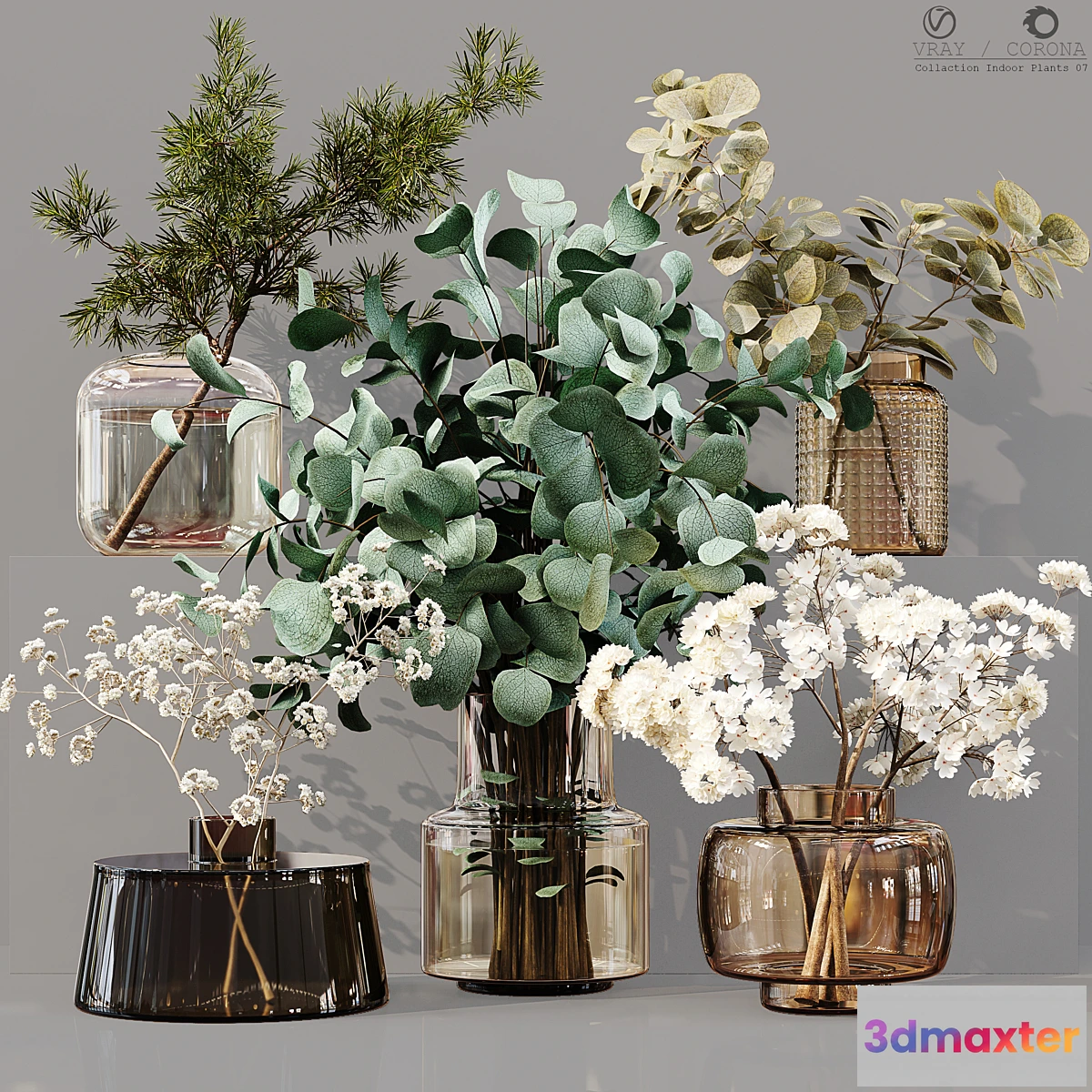 748431 - Collection Indoor Plants 07 - No.2