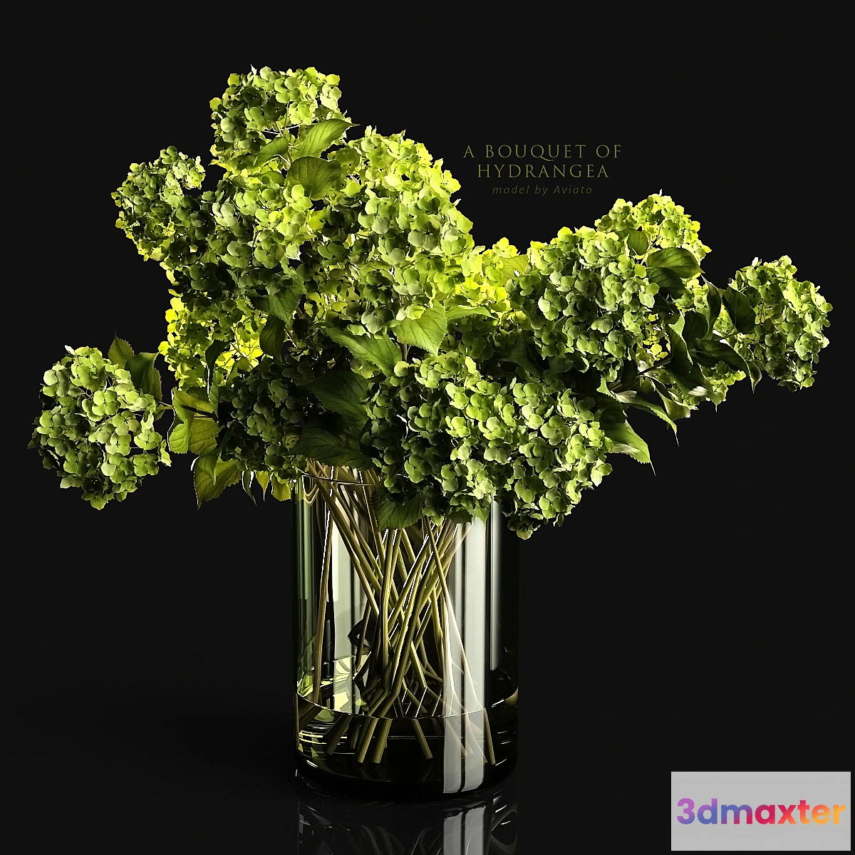 748435 - A bouquet of hydrangea