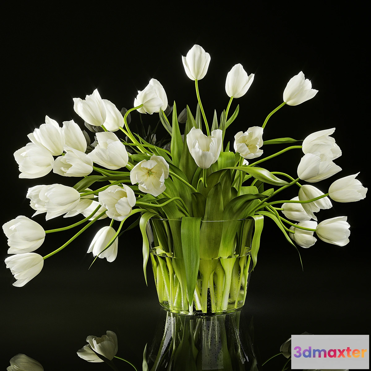 748465 - Tulips - No.19