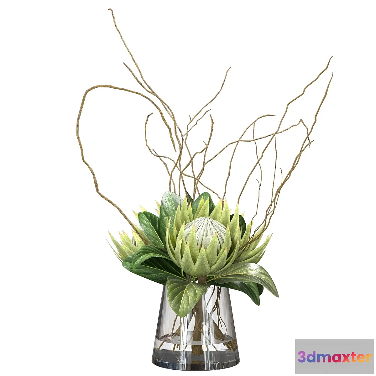 748509 - Green bouquet with protea - No.3