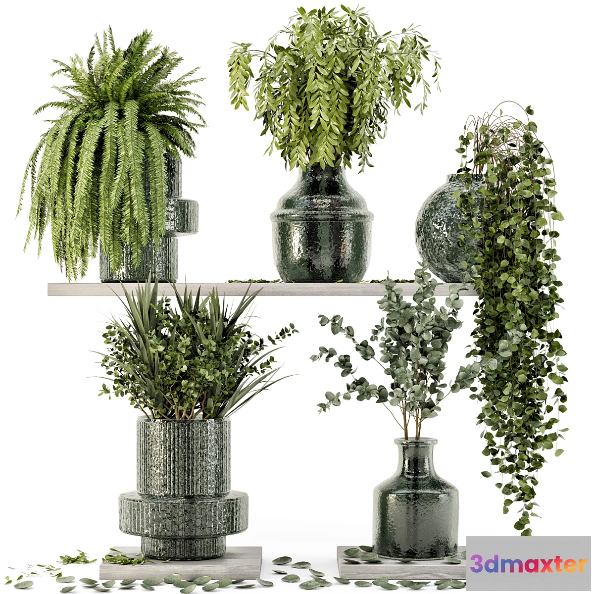 748533 - Collection Indoor Plants in Glass Pots - Set 695 - No.2