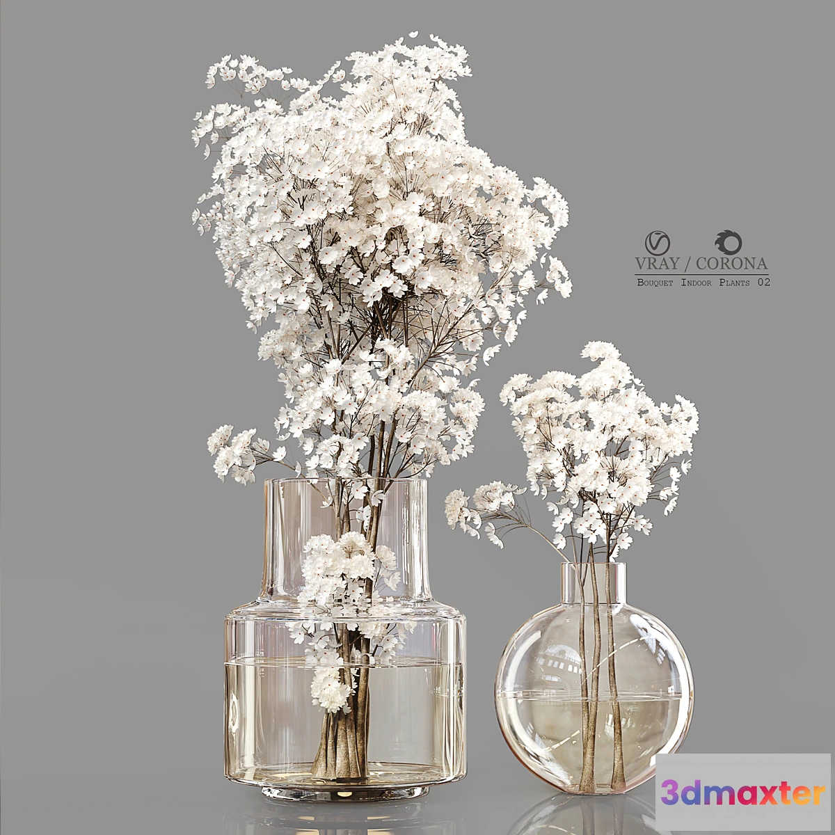 748537 - Bouquet Indoor Plants 02