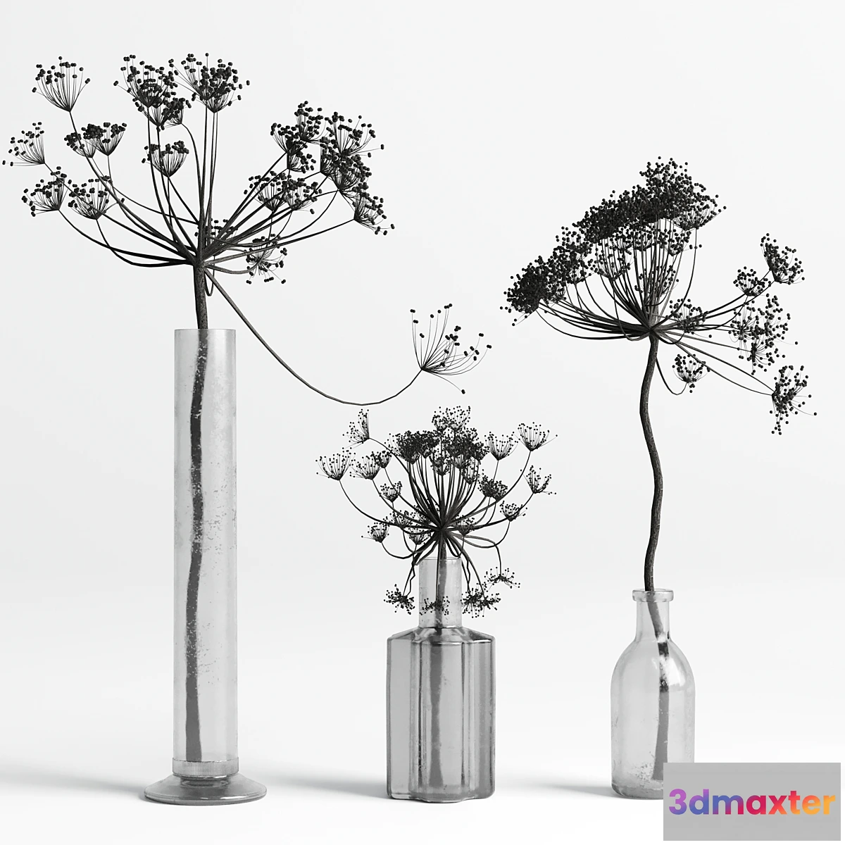 748539 - Bouquet Set 01 Vase Glass Dry Hogweed