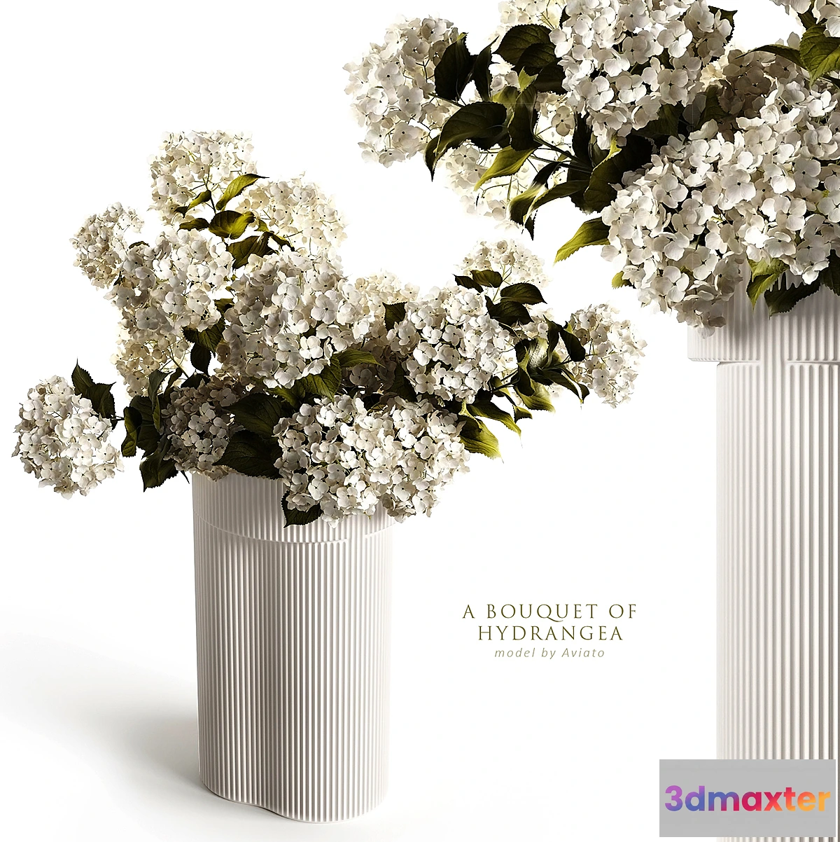 748549 - A bouquet of hydrangea 2