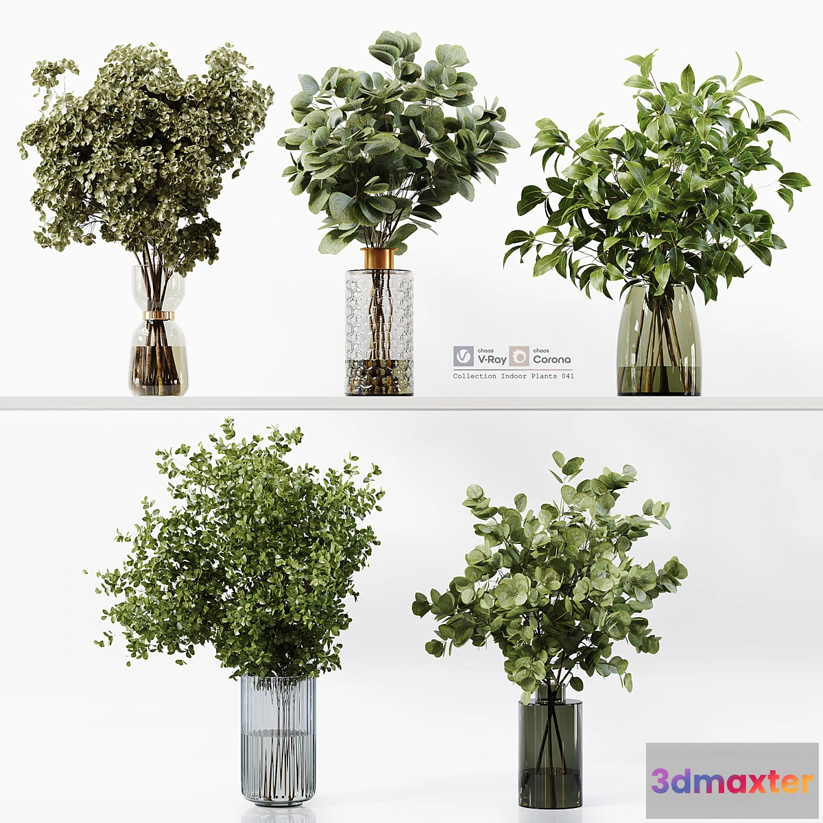 748615 - Collection Indoor Plants 041 - No.2