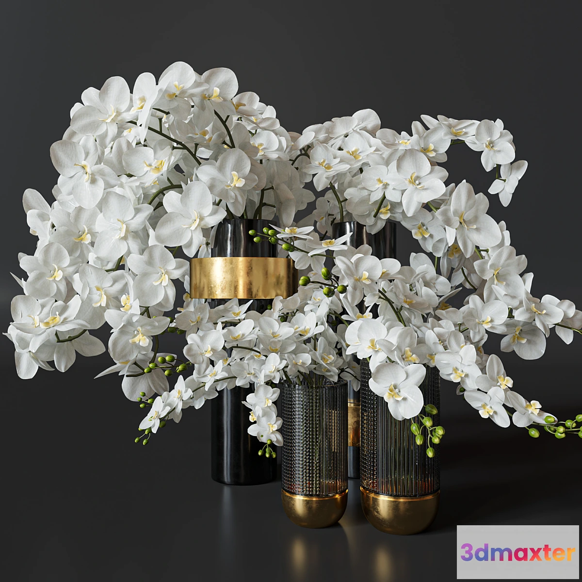 777731 - Flower Set 009 Orchids. - No.2