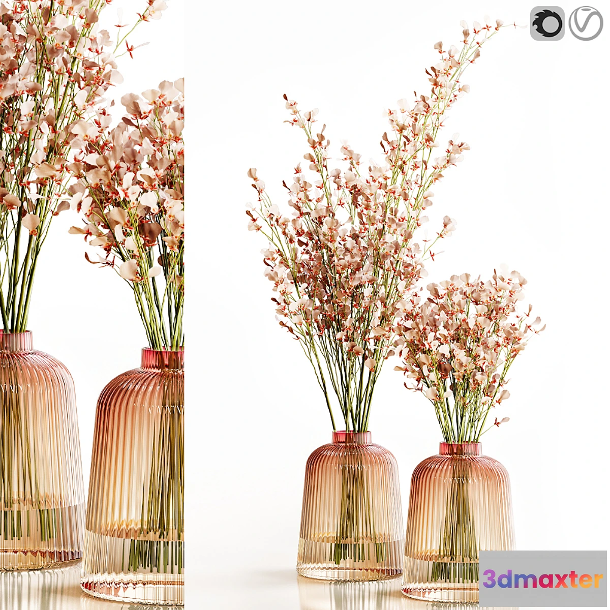 777749 - Orchid Oncidium Pink - No.2