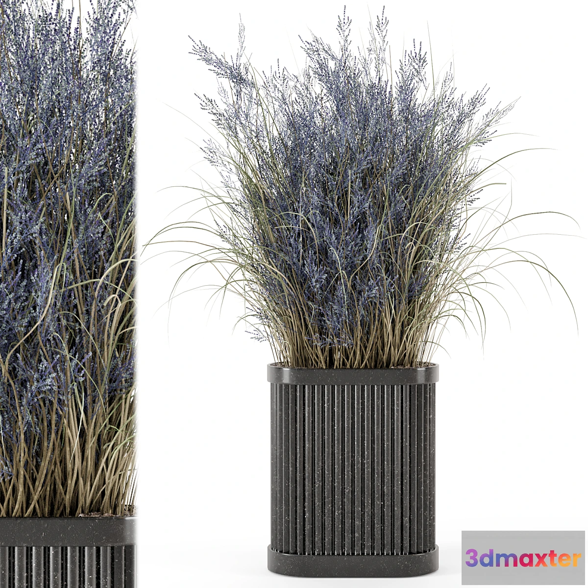 777751 - Indoor Dry Plants in Handmade Stone Pot - Set 773