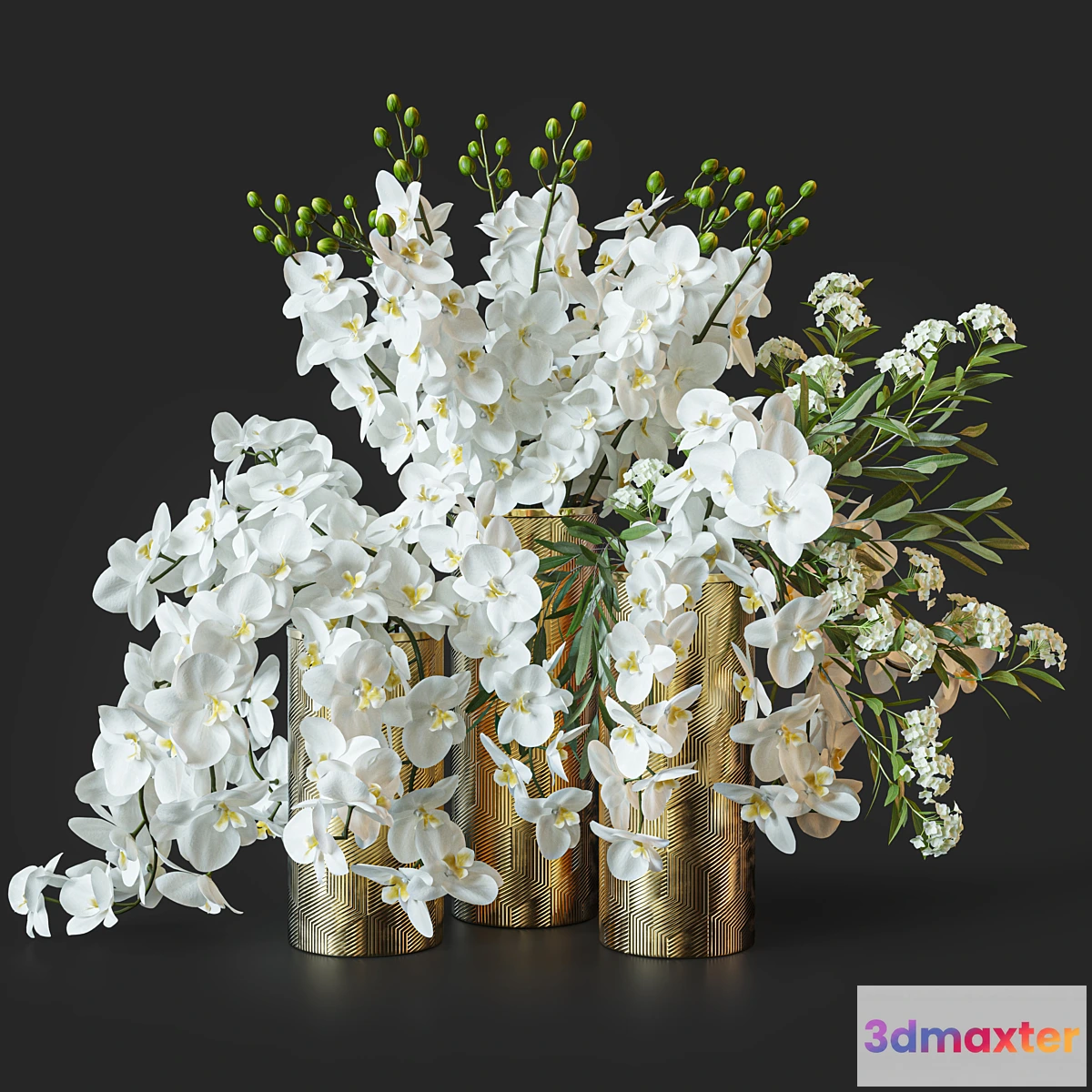 777753 - Flower Set 033 Orchids - No.2