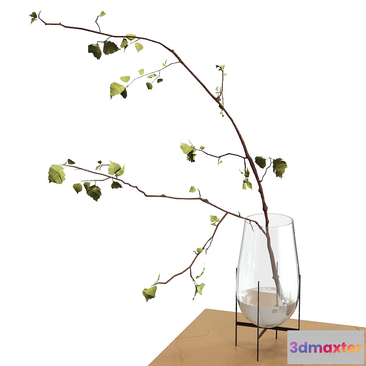 777775 - branch in a vase - No.4