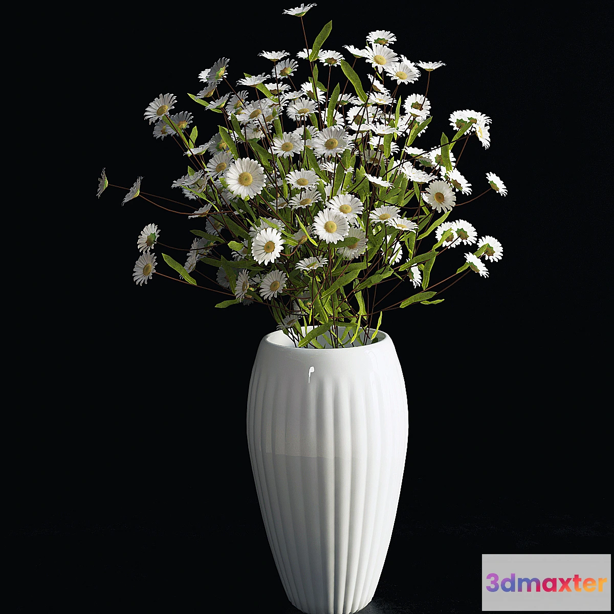 791792 - Daisies - No.4