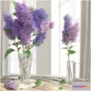 791812 - The LILAC _ LILAC - No.3
