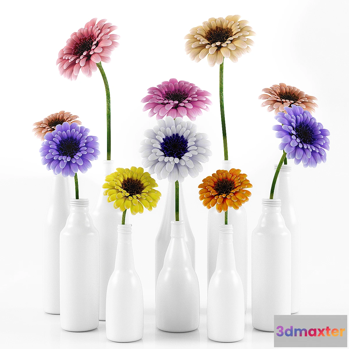 791836 - GERBARA FLOWER - No.3