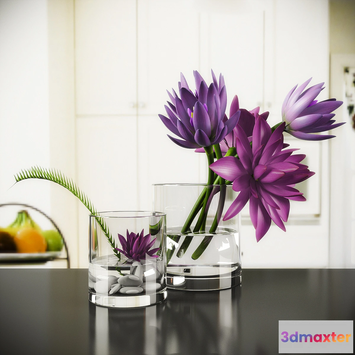 791856 - LOTUS - No.7