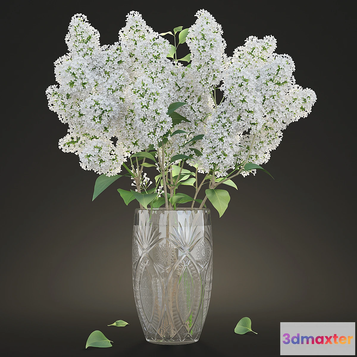 791978 - White lilac in a crystal vase _ White Lilac in a crystal Vase - No.2