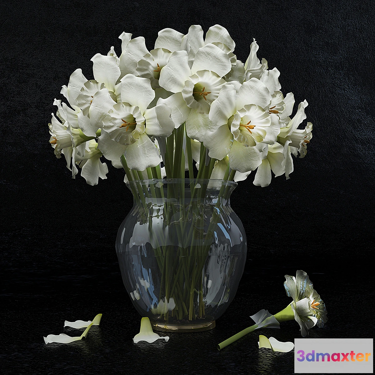 791990 - Plants - No.5