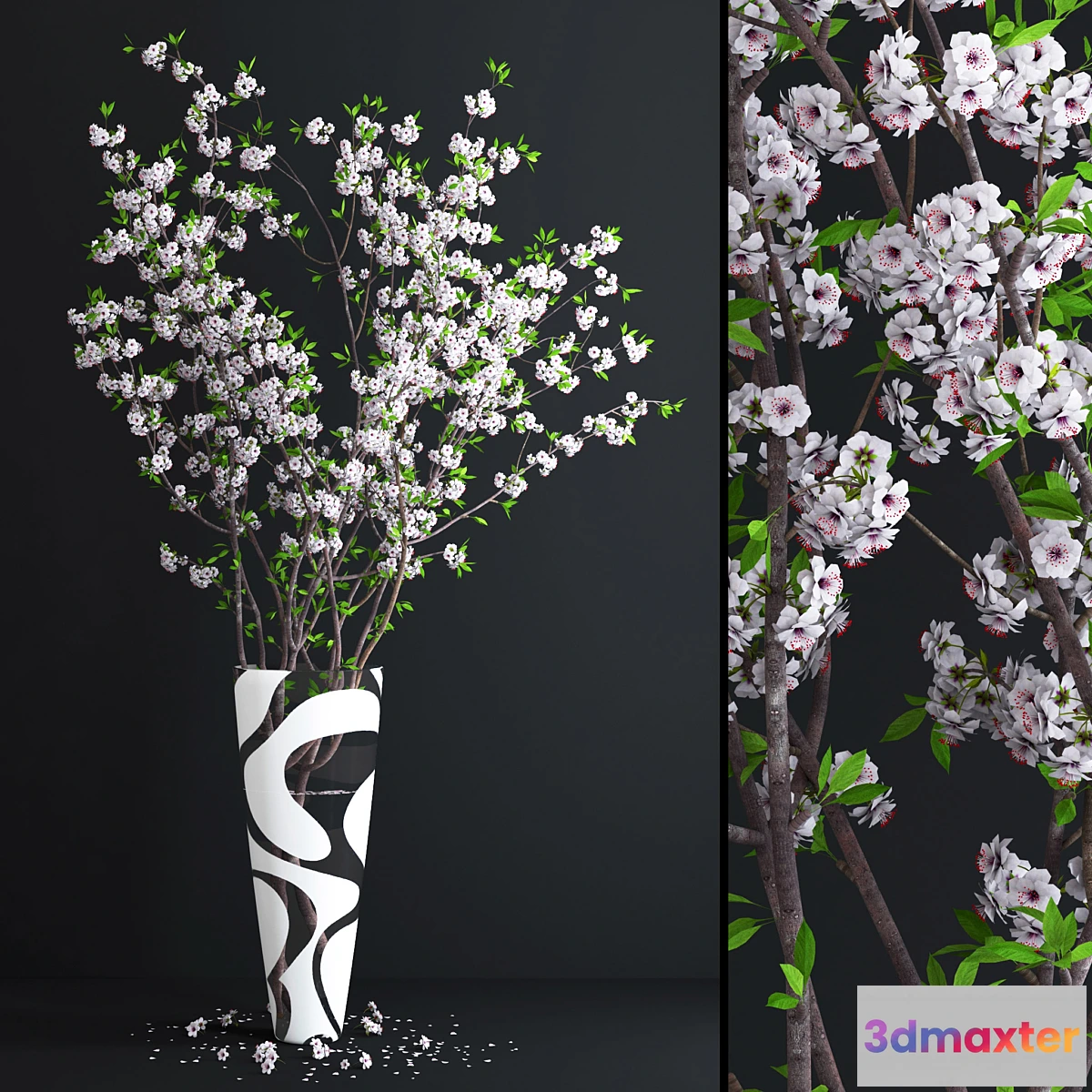 792238 - Cherry White Blossom - No.3