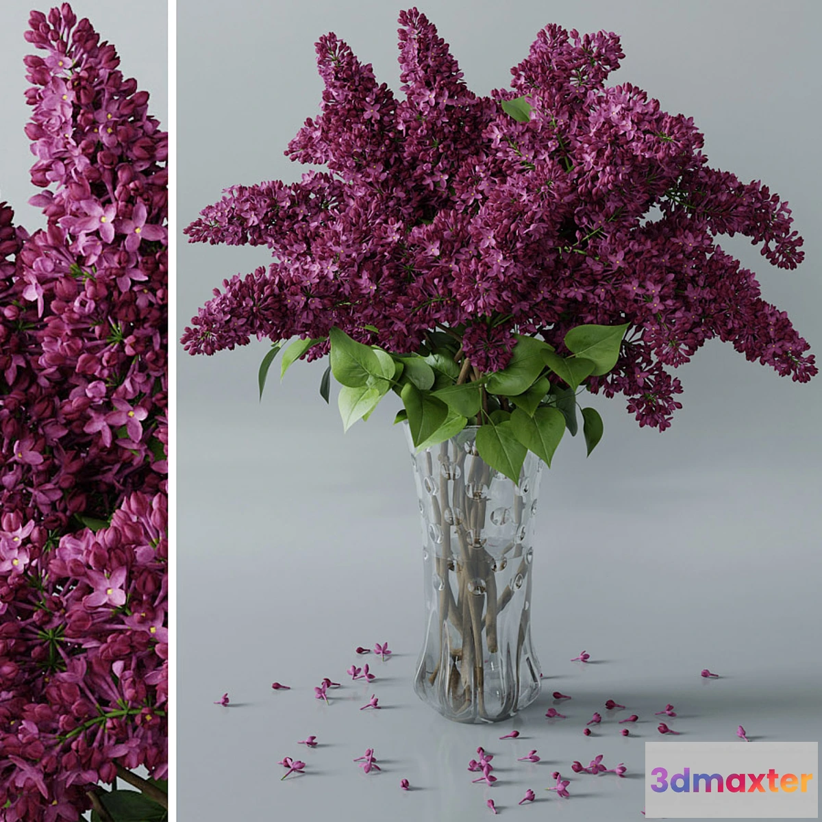 792476 - lilac 3 - No.4