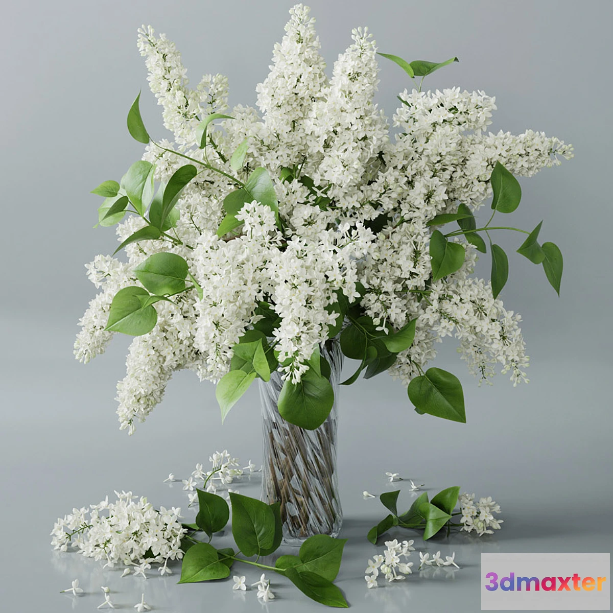 792486 - Lilac - No.5