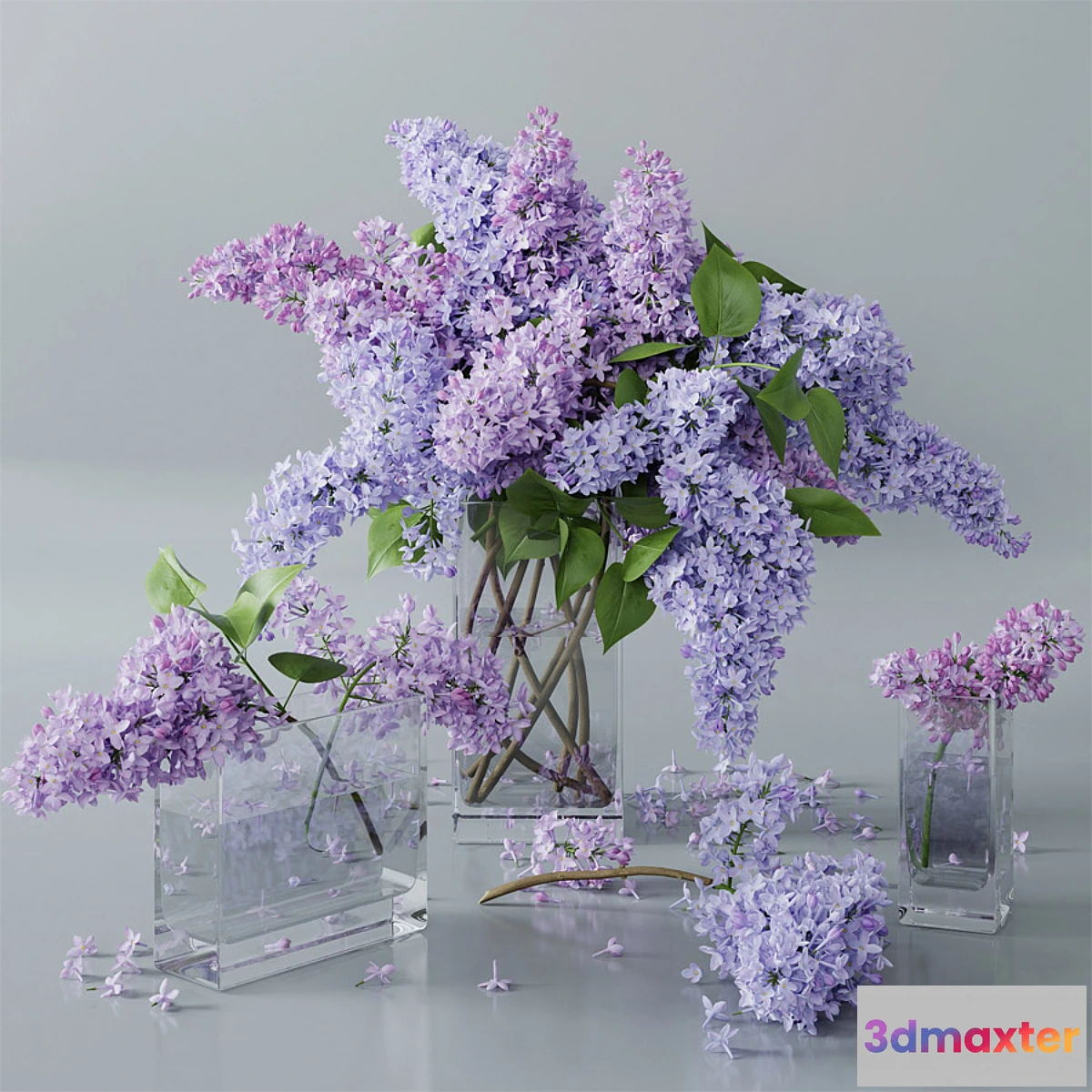 792536 - lilac 4 - No.3