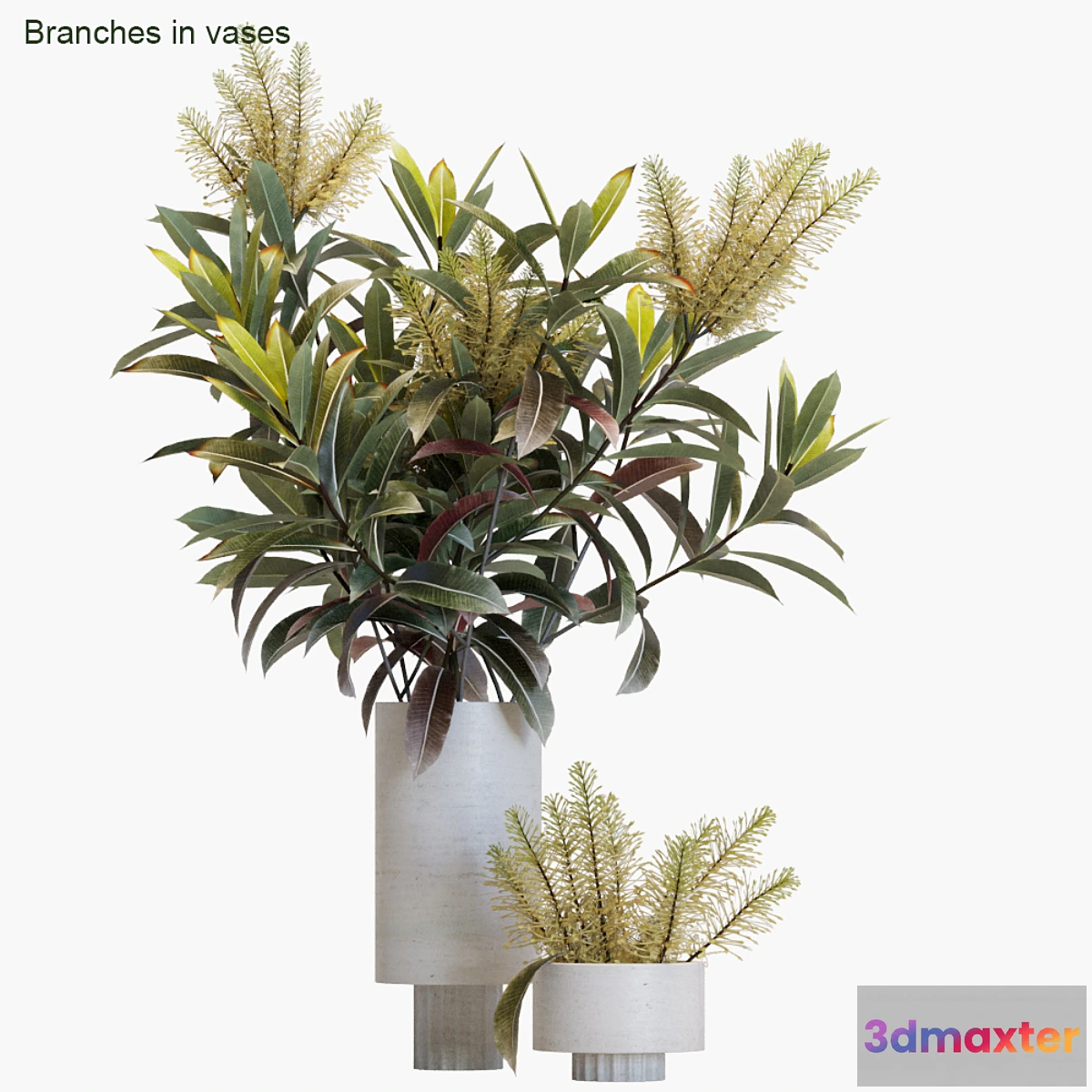 805686 - Branches in vases # 12 - No.2