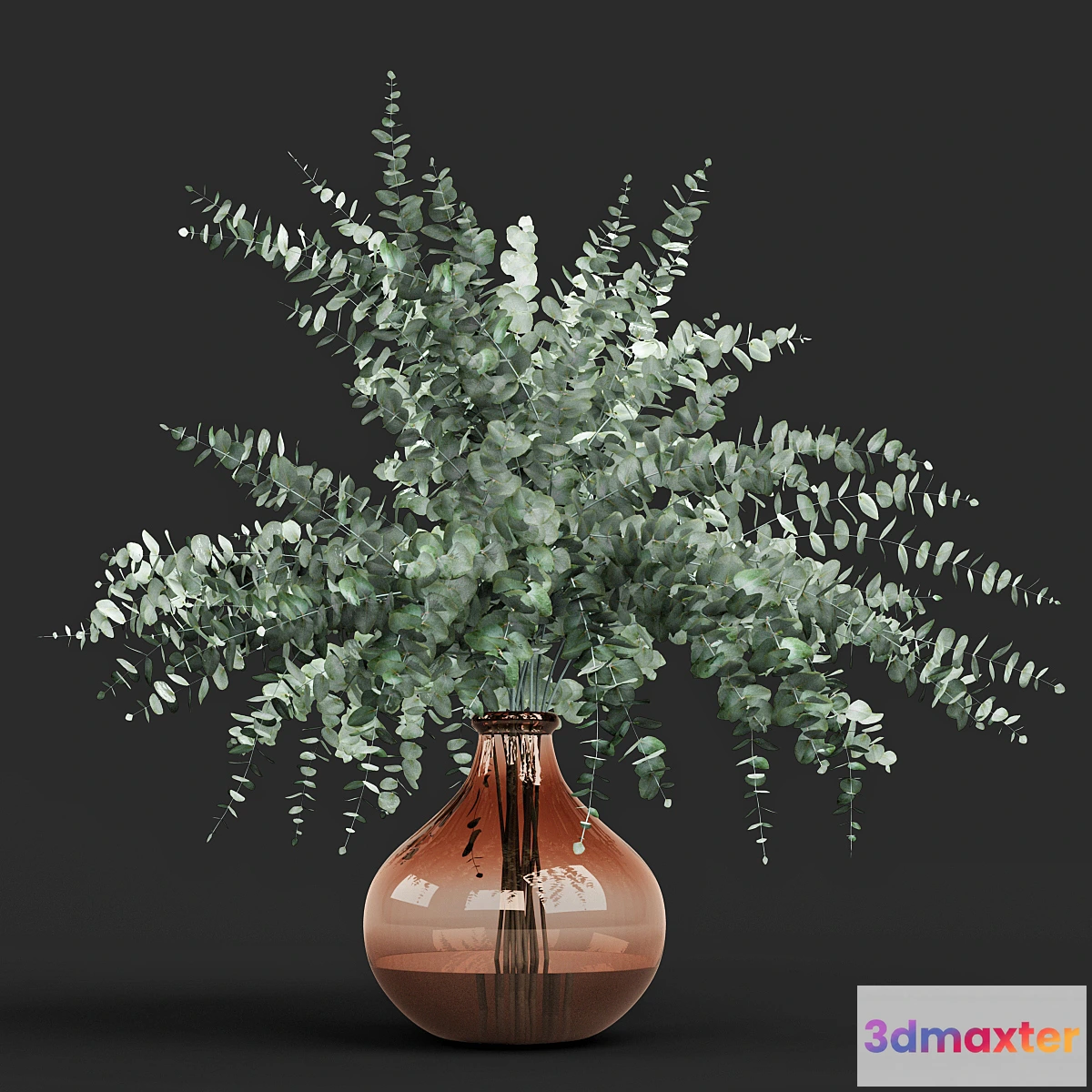 805738 - Vase eucalyptus cinerea - No.2