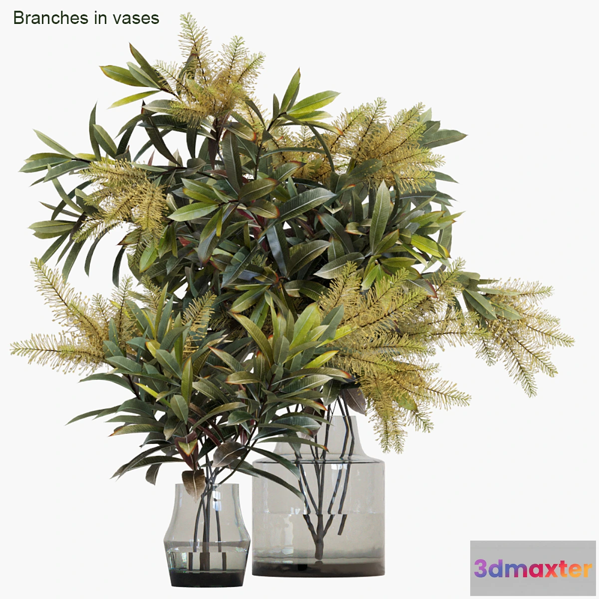 810560 - Branches in vases # 10 - No.2
