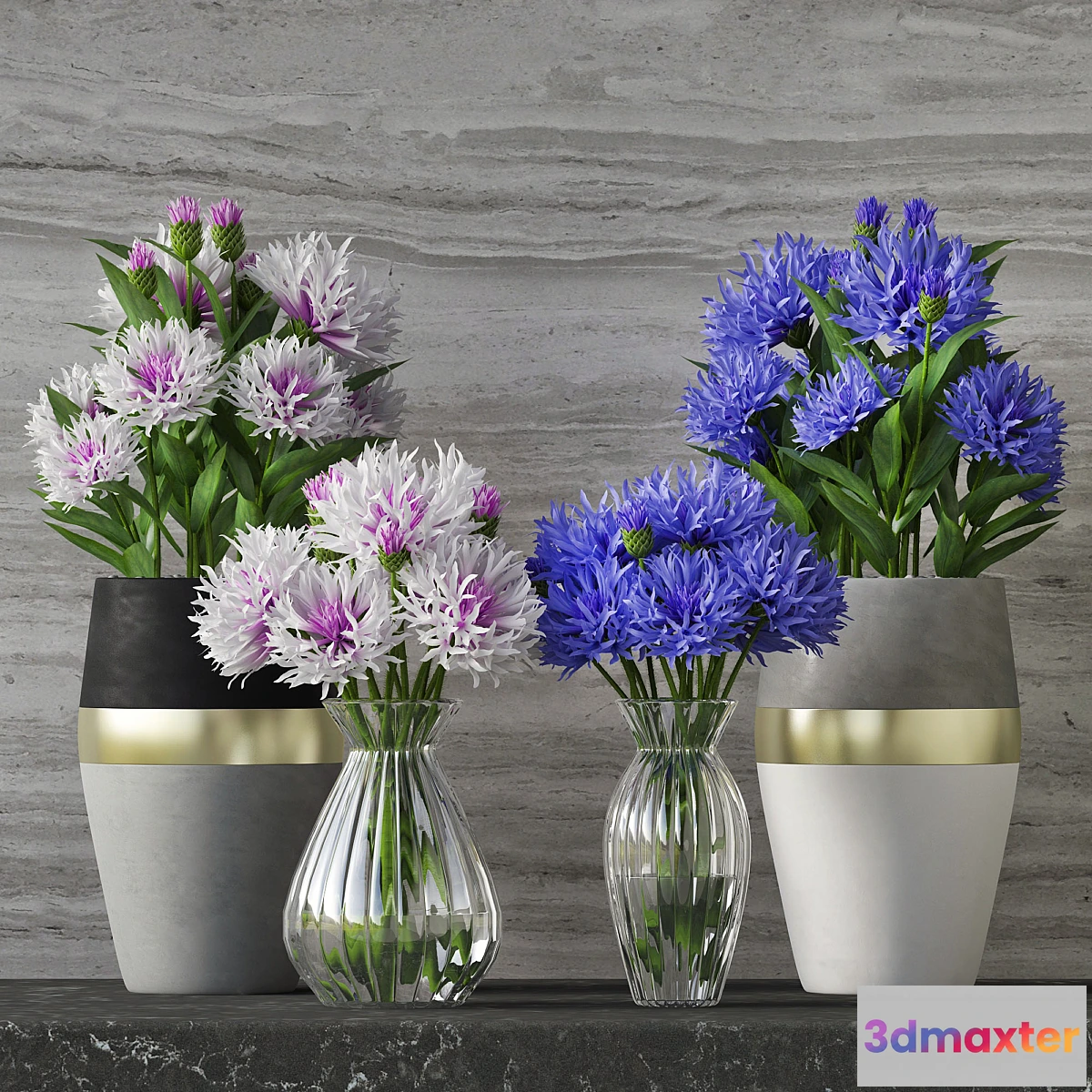 813434 - Cornflower Set - No.2