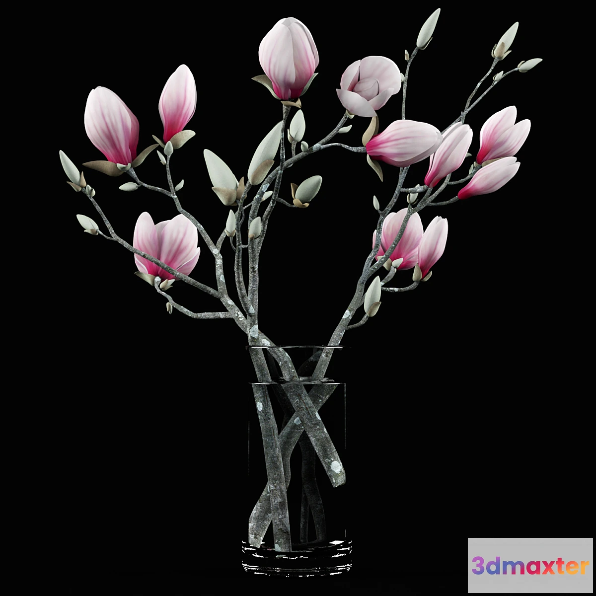 813636 - Magnolia Bouquet - No.2