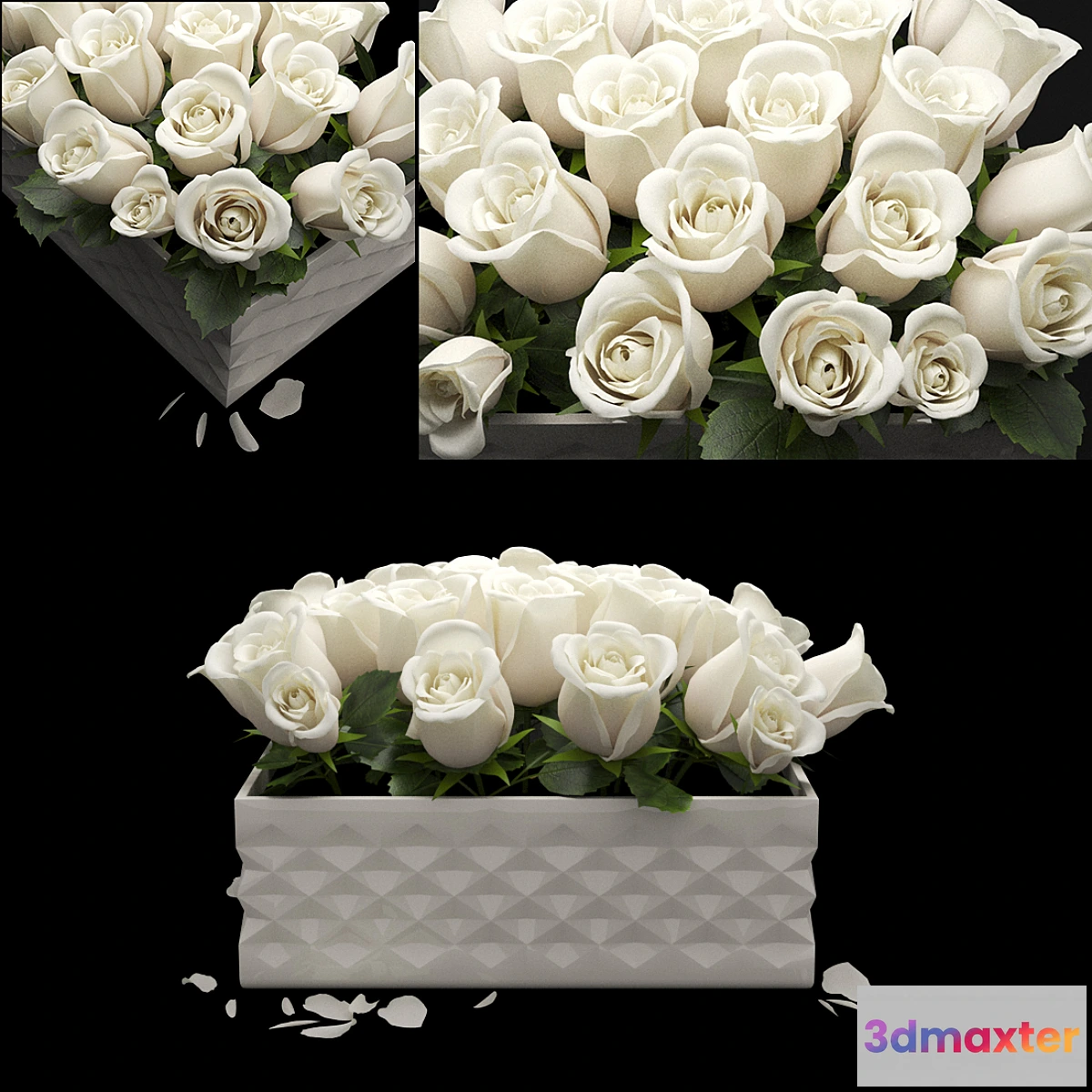 813660 - white flowerbox