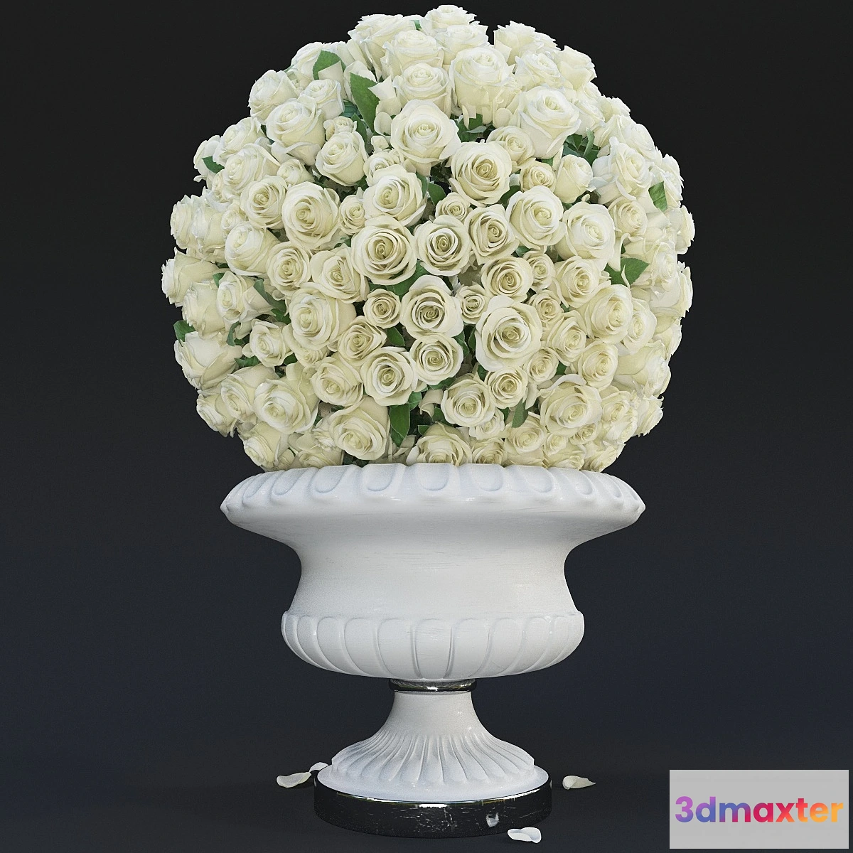 813668 - White Roses - No.5