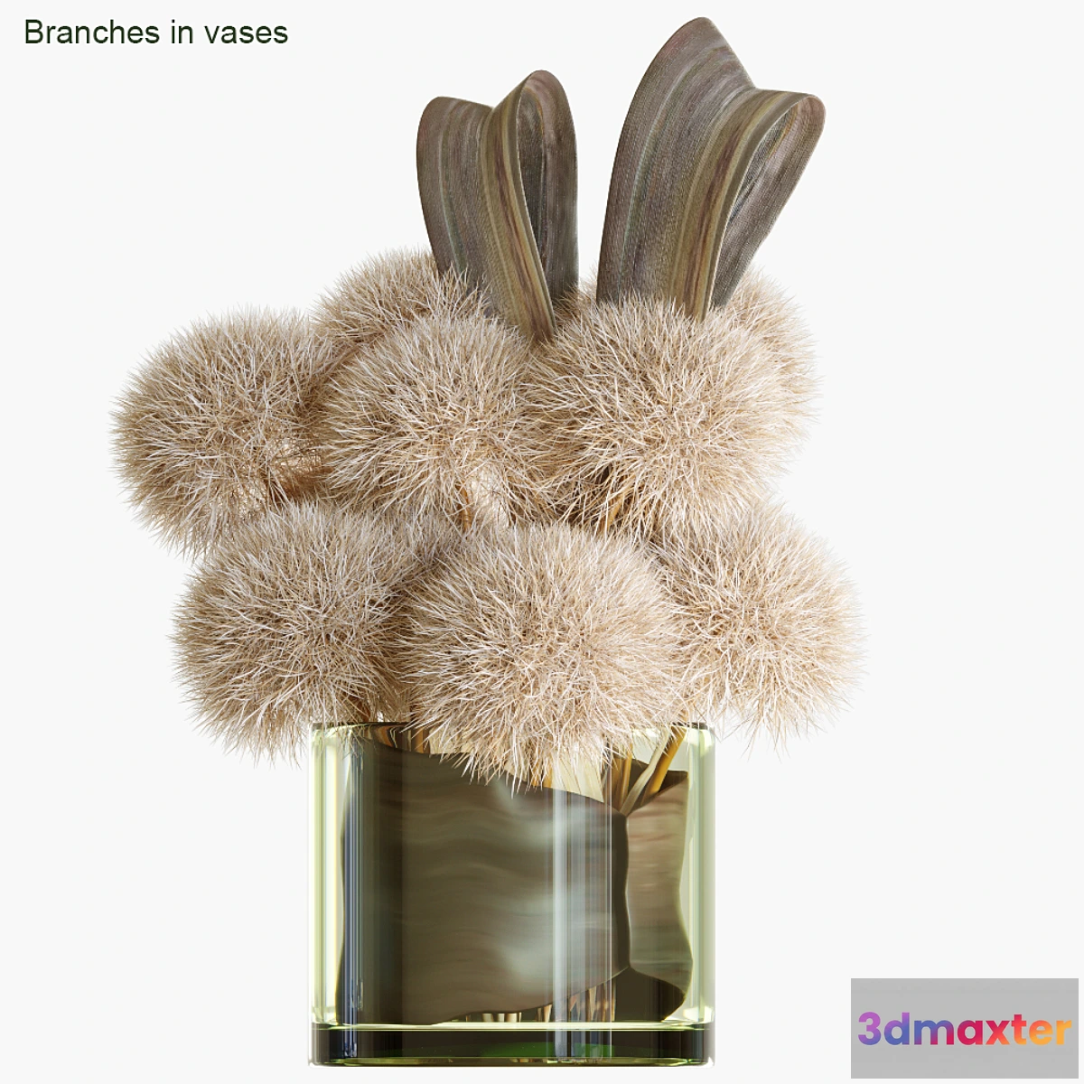 820686 - Branches in vases # 20