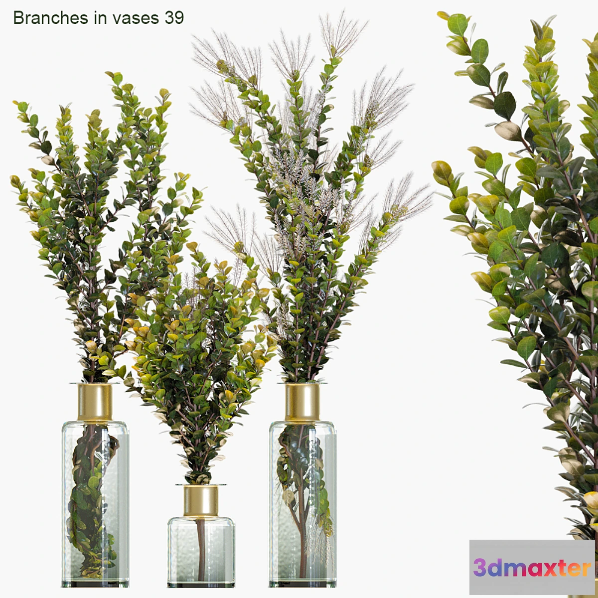 846771 - Branches in vases 39