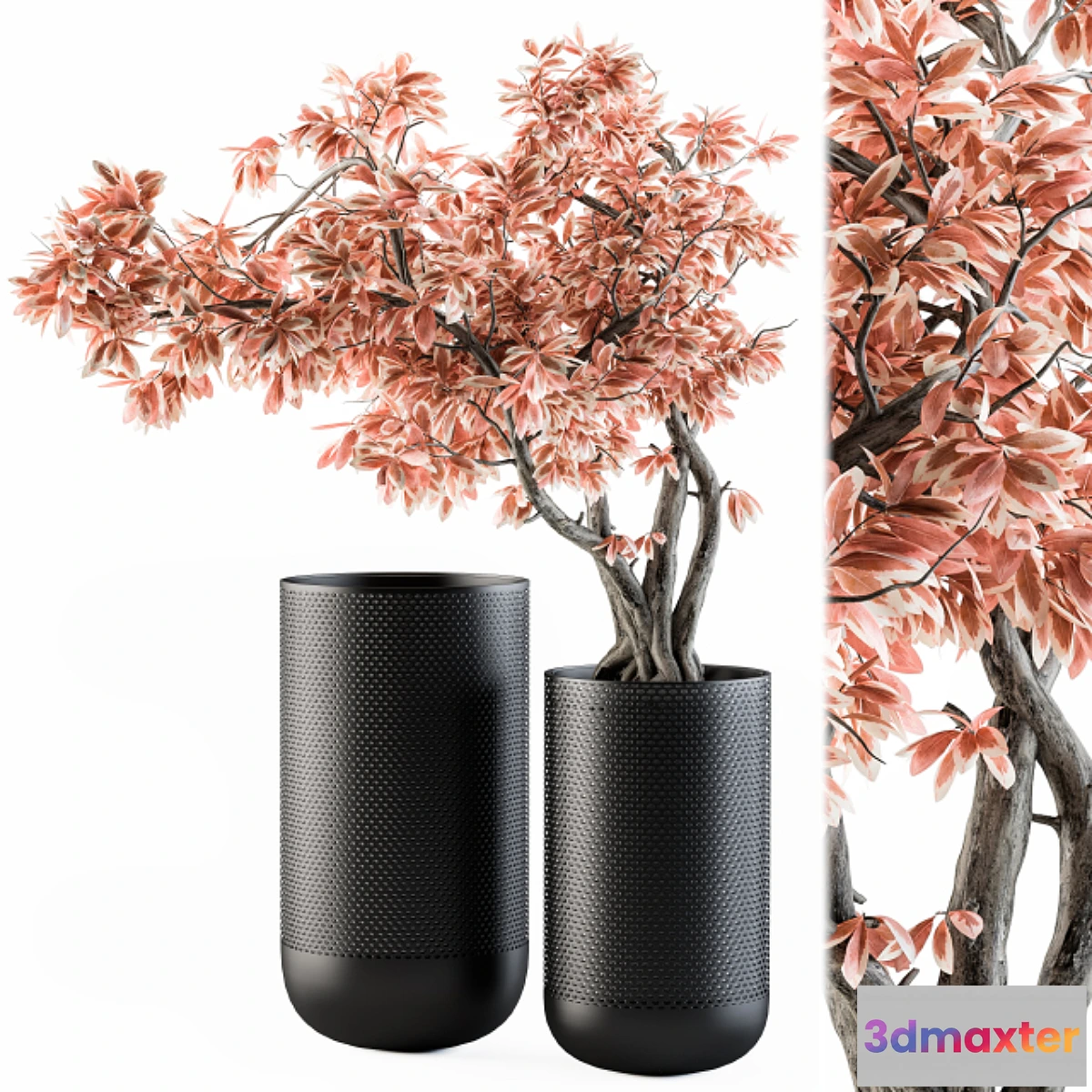 846841 - Bouquet Set 17 - Pink Bonsai - No.2