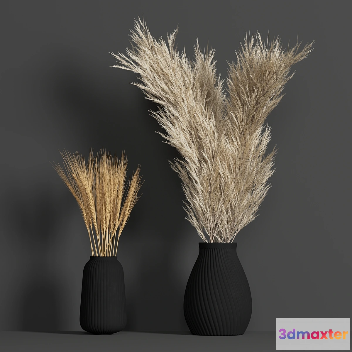 846861 - Dried Wheat and Pampas grass set