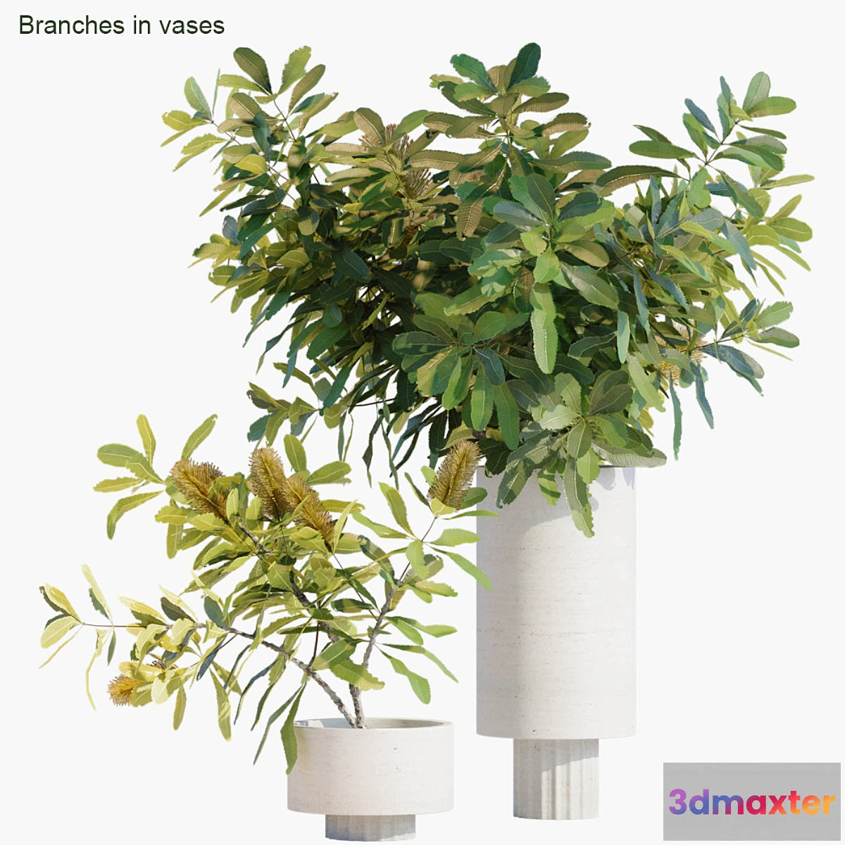 846867 - Branches in vases 29
