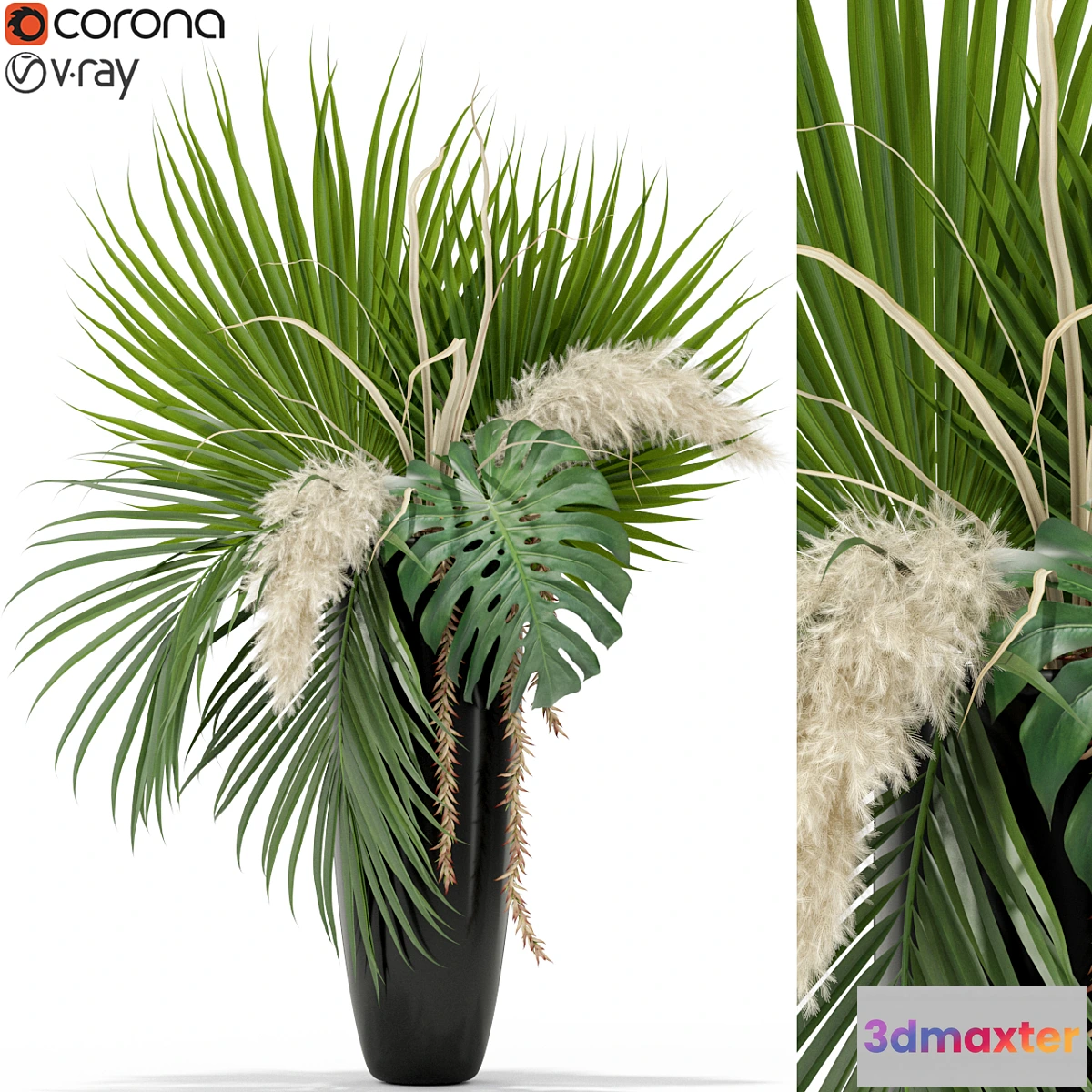 846875 - Plants collection 368