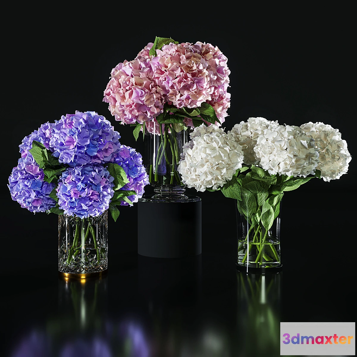 846877 - Hydrangea set 002 - No.2