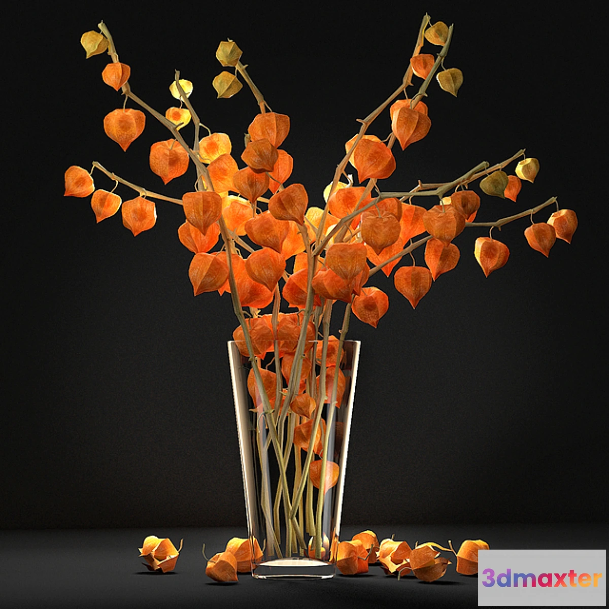 846943 - Fizalis_2 - No.3