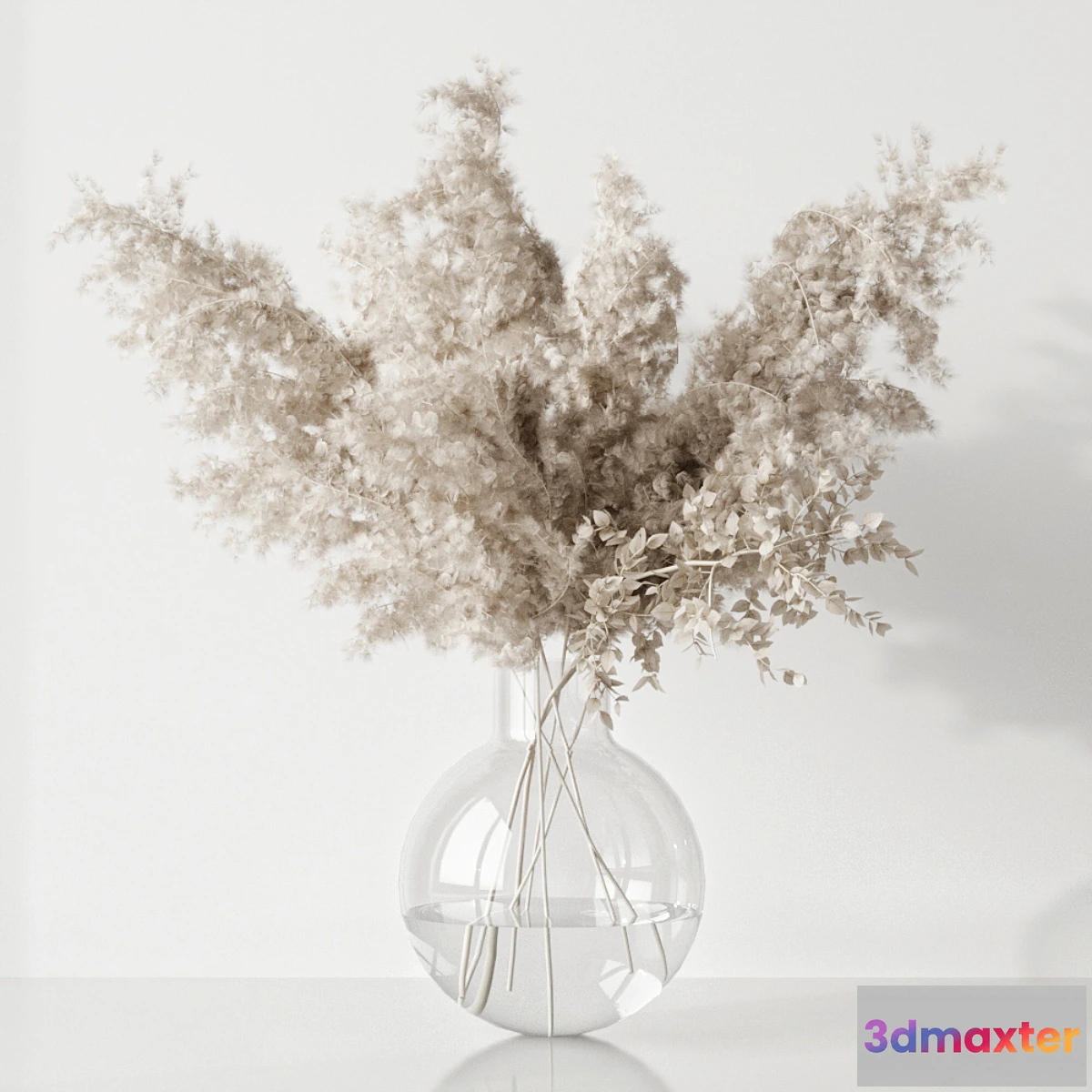 846957 - Plant - No.23