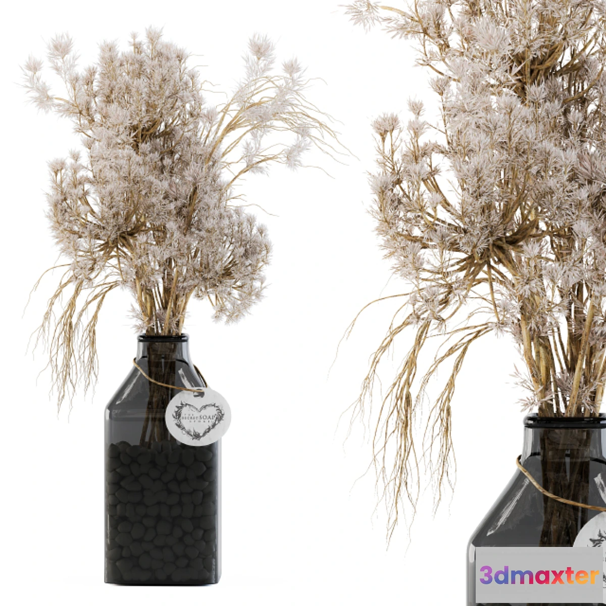 846969 - Dry plants 09 - No.2