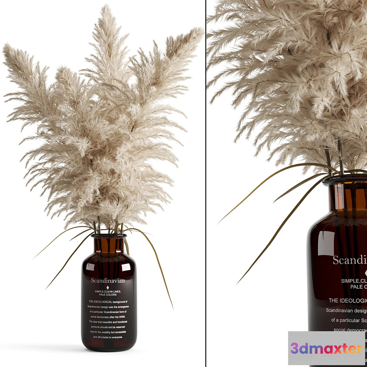 846985 - Cortaderia (pampas grass) in a vase