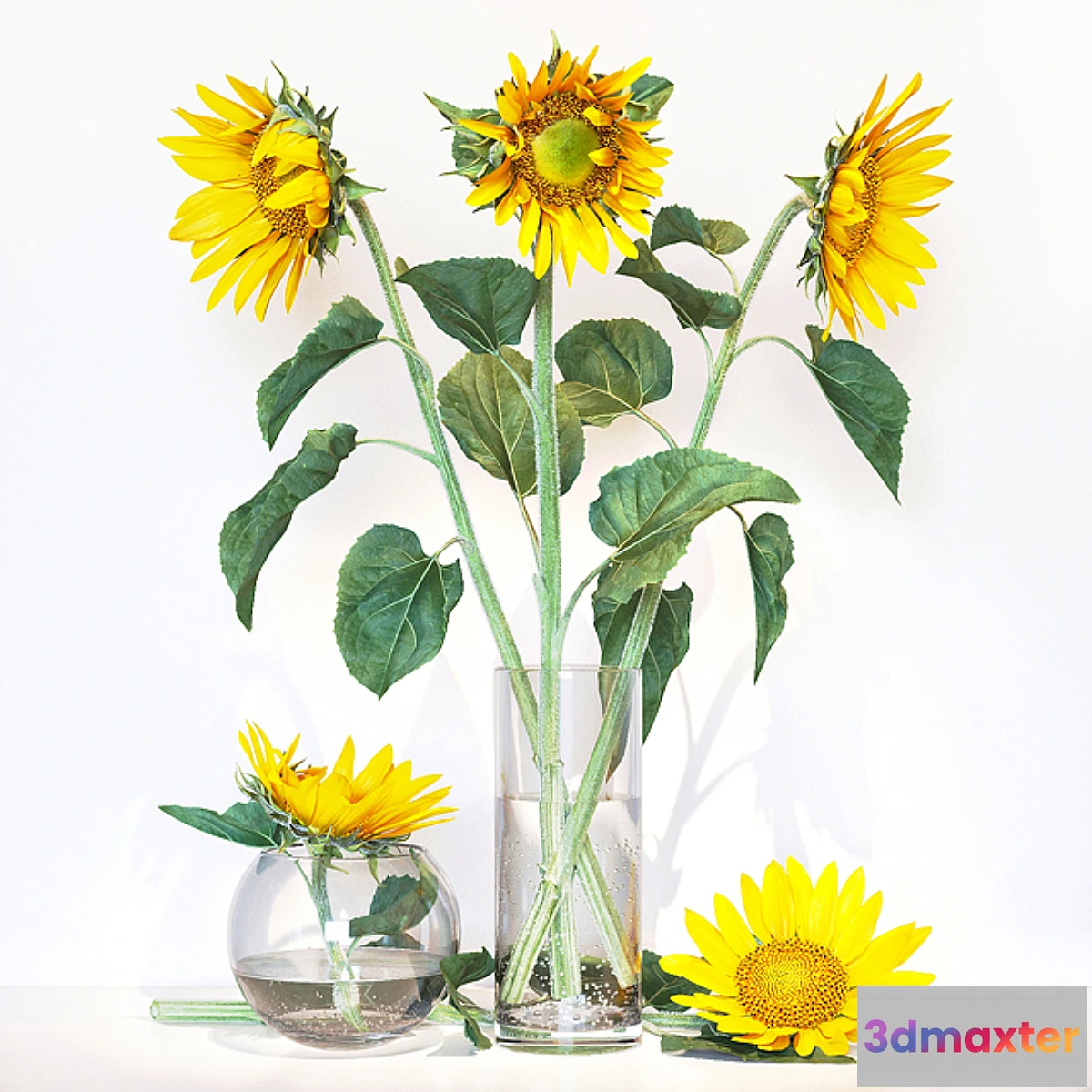 846999 - Sunflower2 - No.3