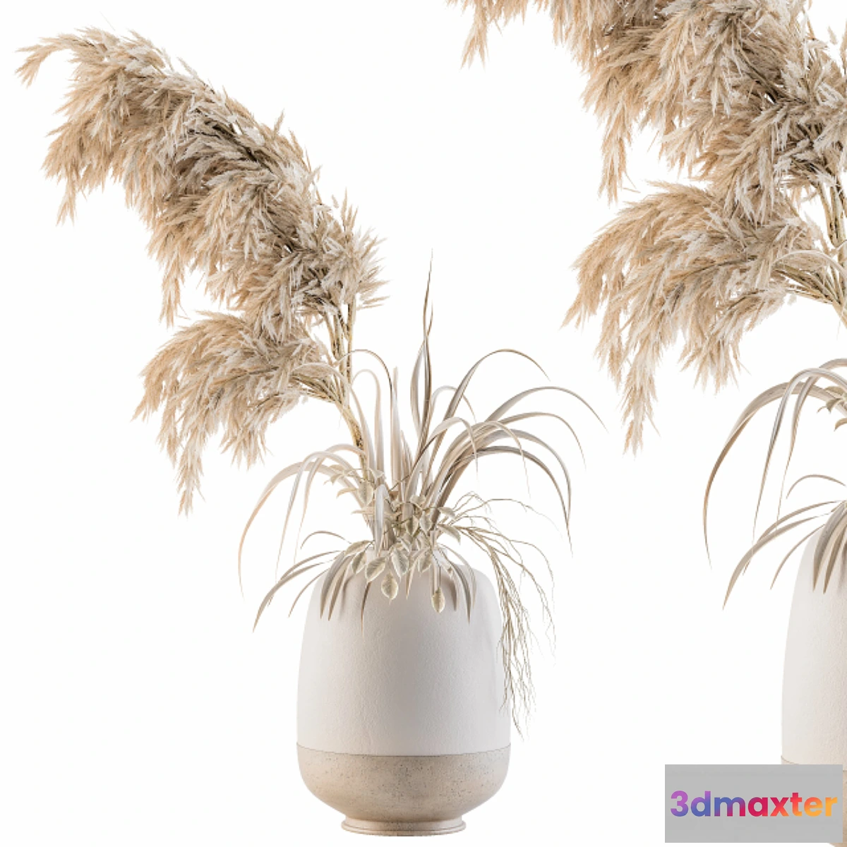 847003 - Dry plants 21