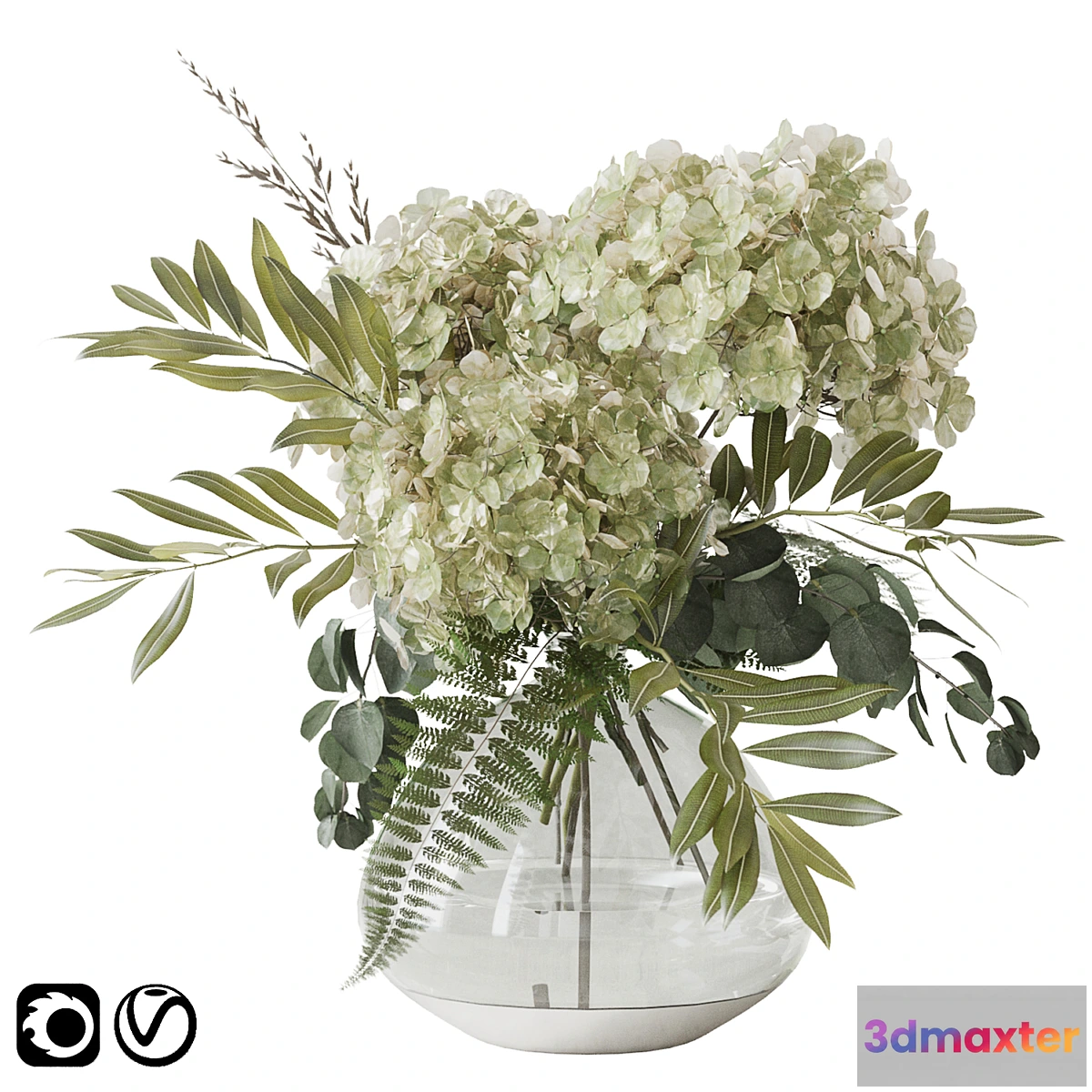 847045 - Green hydrangea