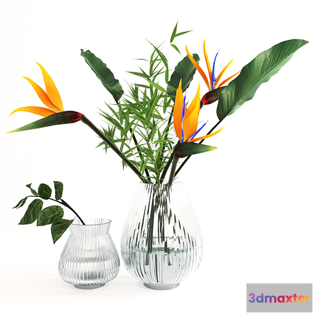 847051 - Exotic bouquet- strelitzia - No.3