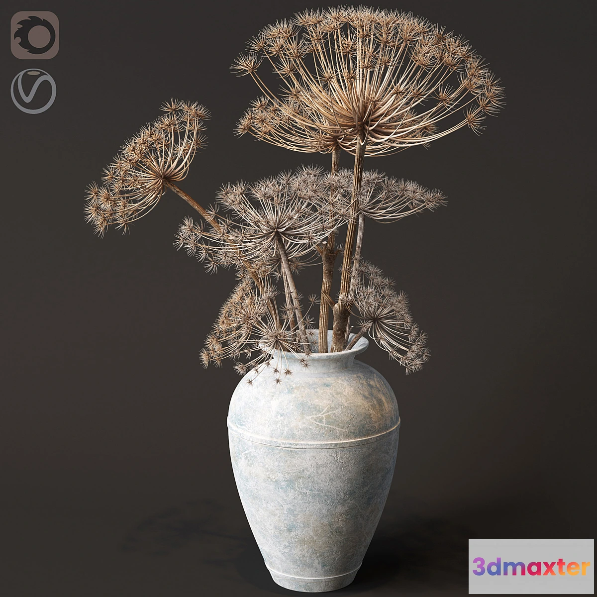 847069 - Floor vase with dry hogweed - No.2